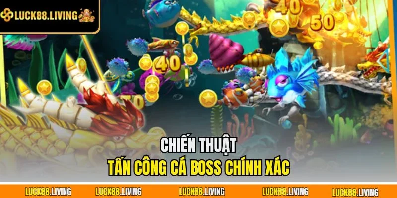 Chiến thuật tấn công cá boss chính xác