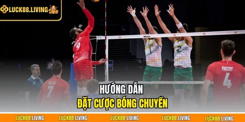 Hướng dẫn đặt cược bóng chuyền